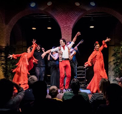 플라멩코 춤 박물관(무세오 델 바일레 플라멩코)